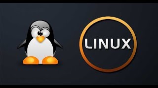 How does a linux interface look?