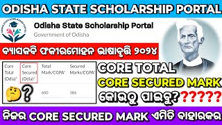 Vyasakabi Fakir Mohan Scholarship 2024/Core Secured Mark କୋଉଠୁ ପାଇବୁ?/ଏଇଟା ନକଲେ ମିଳିବନି 30000ଟଙ୍କା😱