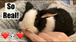 Ultra Realistic Dutch Rabbit Reborn Bunny Tanya Artlife Bearpile Art Doll Lifelike Rabbit Unboxing