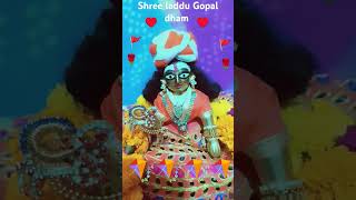 Jai shree laddu Gopal dham ismaila Rohtak Haryana 🌹🌹🚩🚩🌹🌹🚩 #shyam