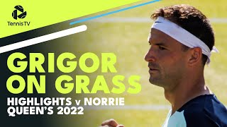 Grigor Dimitrov Brilliant Grass-Court Tennis vs Norrie | Queen's 2022 Highlights