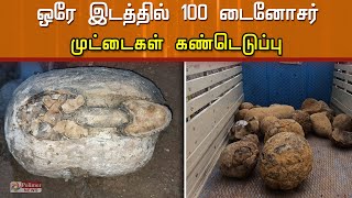 பெரம்பலூர் அருகே 100 டைனோசர் முட்டைகள் கண்டெடுப்பு