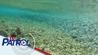 DFA susuportahan ang SolGen sa mga legal na hakbang patungkol sa nasirang corals | TV Patrol