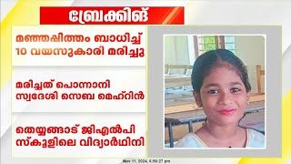 മഞ്ഞപ്പിത്തം ബാധിച്ച് 10 വയസുകാരി മരിച്ചു; മരിച്ചത് പൊന്നാനി സ്വദേശി സെബ മെഹ്റിൻ