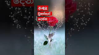 දෙන්න#කොරියානු බසින් (Spoken)