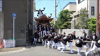 令和6年 岸和田だんじり祭 試験曳き 疎開道 Kishiwada Danjiri Matsuri2024/09/08