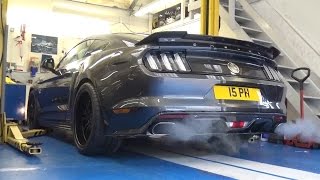 2016 800hp+ Shelby Mustang Super Snake: Cold Start and Huge revs!