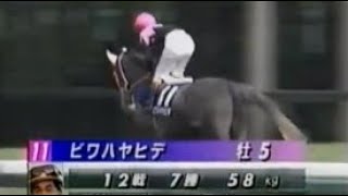 第１０９回　天皇賞（春） （ＧⅠ）　本馬場入場　1994.4.24　　出走馬：ビワハヤヒデ、ナリタタイシン、ムッシュシェクル、ステージチャンプ、マチカネタンホイザ、センゴクシルバー、ナイスネイチャ他