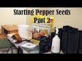 Starting Pepper Seeds - Part 2