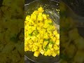 🥛🥛🥛quickfixrecipe31 how to fry paneer without sticking to the pan telugushorts foodshorts