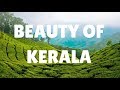 KERALA - The Beauty of Nature