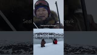 Some hunters in Nunavik scratch the ice to attract curious seals #seals #arctic #inuit