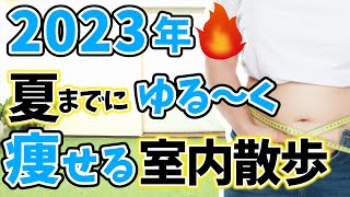 【歩くだけで痩せる🔥】室内散歩で楽しく脂肪燃焼🔥ダイエット\u0026ストレス発散✨天気に左右されずに有酸素運動 !! 【室内ウォーキング 痩せるダンス / ボクササイズ】