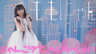 ももにゃん - にゃんこタウンへいらっしゃい 【4K60P】