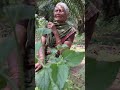 ஆயா ஒப்பாரி முடிஞ்சா அழாம பாருங்க. . oppari அம்மா அப்பா இறப்பு கண்ணீர் village folk song