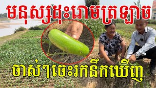 បងប្អូនណាខ្លះធ្លាប់ដុះដូចត្រឡាច? ចាស់ៗចេះរកនឹកឃើញ សុំសរសើរមីងណាស់