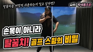 손목이 아니라 팔꿈치! 골프 스윙의 비밀