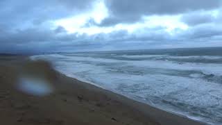 【放送事故】台風並みの暴風の中鳥取砂丘で死にかけるしずく　#shorts