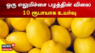 Dindigul News | ஒரு எலுமிச்சை பழத்தின் விலை 10 ரூபாயாக உயர்வு | Dindigul Market Lemon Price Hike