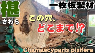 【芯に大きな穴】さわら原木を製材【木の店さんもく】Japanese　Chamaecyparis pisifera