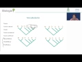 sistemática filogenética reconstrucción de la historia natural 09