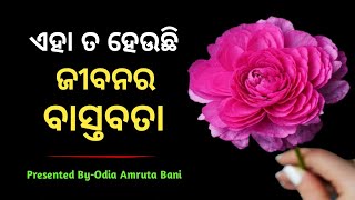 ମଣିଷ ଜୀବନର ବାସ୍ତବ ରୂପ | Odia Motivational Video | Motivational Quito | Odia Amruta Bani