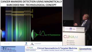 Multifunctional Nanoparticle-based Probes for Cancer Cells and Biomarkers Detection