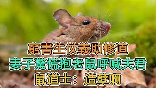 民間故事：窮書生仗義助修道，妻子驚慌抱老鼠呼喊夫君，鼠道士：造孽啊｜姑娘出嫁，洞房夜發現新婚的圈套｜頭條故事匯