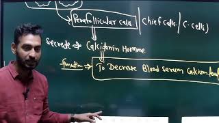 Rapid revision endocrine part -2 by Mr. Pawan sir