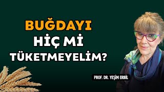 Buğdayın Genetiği ile Nasıl Oynuyorlar? | Buğdayı Hiç Mi Yemeyelim?