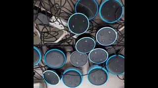 Alexa (farts) on multiple echos at (same time)🔥🔥