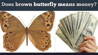 Does Brown Butterfly Means Money? watch this