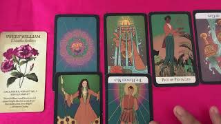 Ai đó đã quyết tâm đến gặp Bạn trong tháng 12 này-Phương Nga Tarot