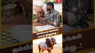 ஜல்லிக்கட்டு சங்கங்கள் செய்யும் தில்லுமுல்லு..! | Jallikattu | Toshi talks | RJ Toshila