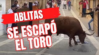 Susto en Ablitas: un toro capón se escapa del recorrido del encierro (3)