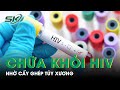 Người Thứ 6 Trên Thế Giới Khỏi HIV Nhờ Cấy Ghép Tủy Xương | SKĐS