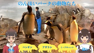 豊橋にある「のんほいパーク」の動物園にいる動物たちを紹介しています。