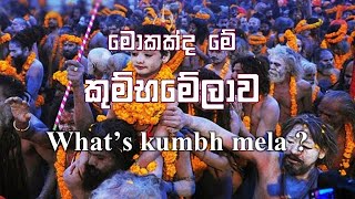 කුම්භමේලා උත්සවය | Kumbh Mela festival