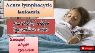 Acute lymphocytic leukemia/වසාවාහිනිවල ලියුකේමියා/causes/how it happens/treatments/sinhala/prevent