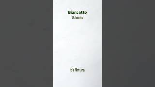 Biancatto Dolomitic Marble: Nature's Elegance in Its Purest Form!  - Ferraz Brasil