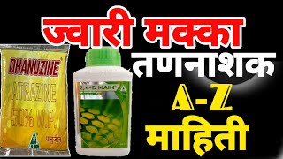 ज्वारी मका हायब्रीड वरील तणनाशक | 24D herbicide | atrazine | Dhanuzine |