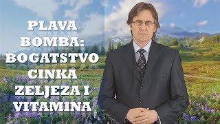 MOĆNA BILJKA ZA MOZAK, JAČE KOSTI I REGULACIJU KRVNOG PRITISKA! Dr Mihajlović