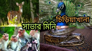 অরণ্যালয় মিনি চিড়িয়াখানা সাভার nuru bd