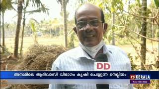 Agoni Bora Rice | അരി വേവിക്കാതെയും ചോറുണ്ടാക്കാം | 16/02/2022