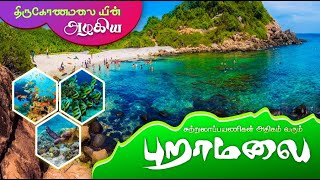 சுற்றுலா பயணிகளை அதிகம் கவரும் புறாத்தீவு |Pigeon Island National Park | Nilaveli | Trincomalee