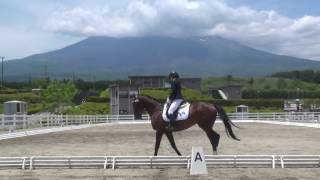 関東学生馬術選手権及び女子選手権　女子選手権３回戦　馬場　麻葵　近藤舞宝