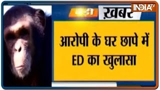 West Bengal में 25 लाख का चिंपैंजी जब्त, ED ने किया जब्त