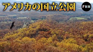 都会の喧噪を離れ、秋のシェナンドー国立公園へ（バージニア州）【アメリカの国立公園】