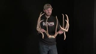 Revealing the New No. 3 Typical Whitetail in the World