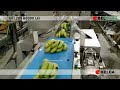 Belca BF flowpacker bananen